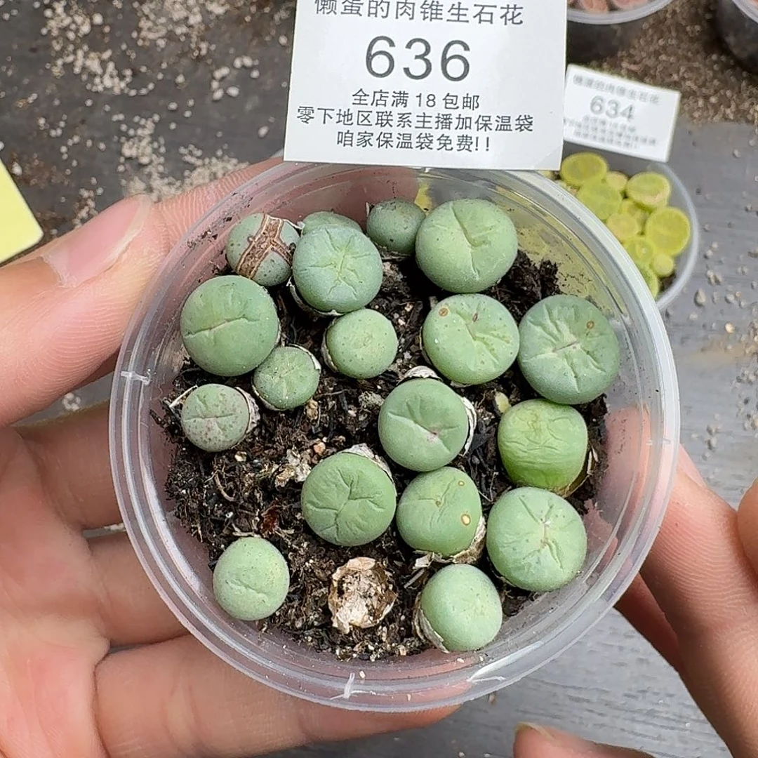 636满18 包邮保温袋联系客服