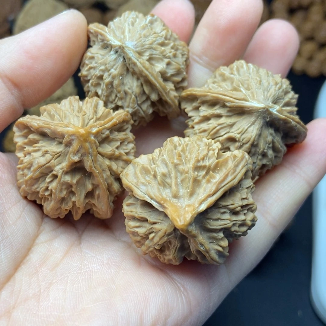 微***鼠野生玉玺宫灯和三棱微修17号链接