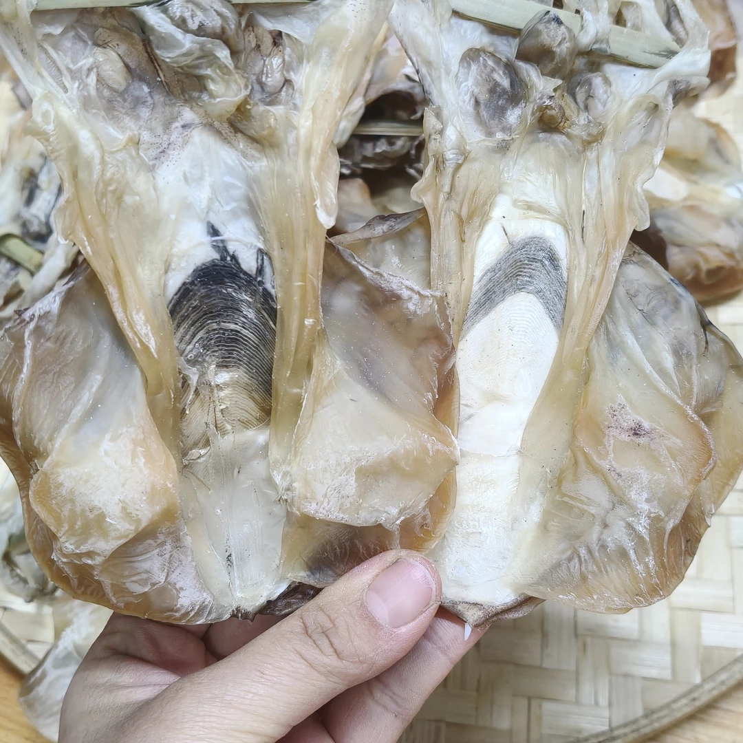 广东汕尾港中号新晒淡晒煲汤淡干墨鱼干目鱼干九成干双拖墨鱼干