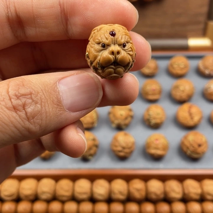 狗王单颗猴头全品