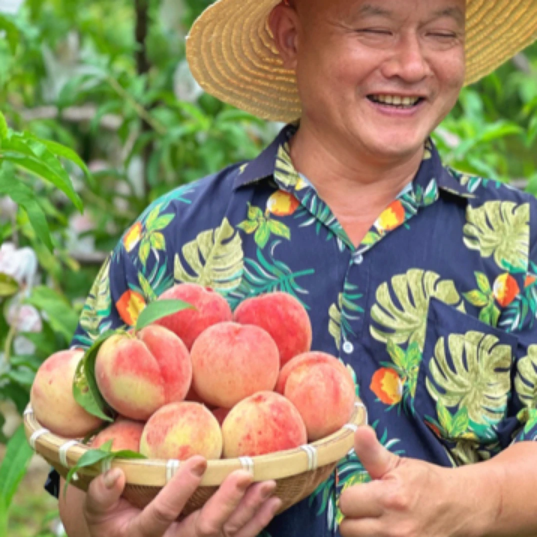 助农-浏阳大围山鲜桃10斤装（按重量，空格属于正常）