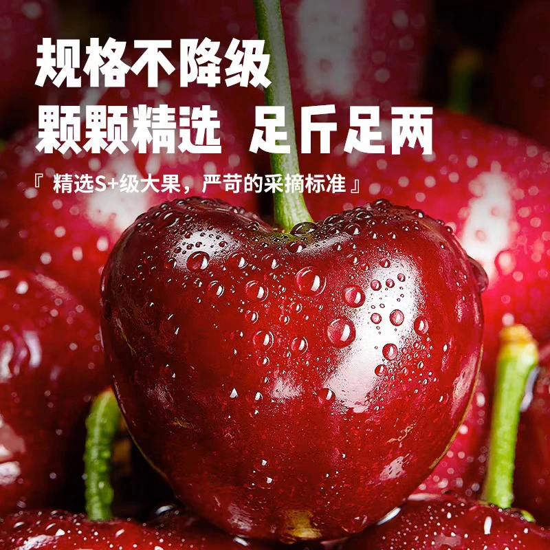 【2-3斤装大果烟台美早大樱桃】烟台美早樱桃空运直达2-3斤装