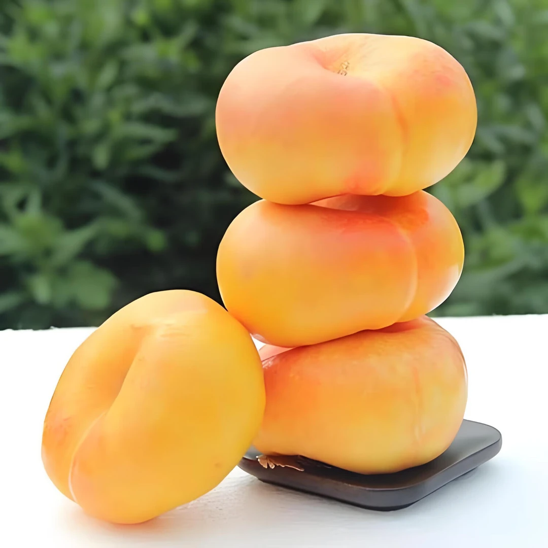 蒙阴蜜桃 彩虹油蟠桃 芒果蟠桃 山东产地直发 清甜可口 软硬两吃