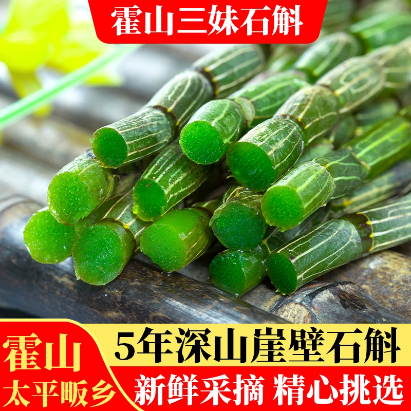 正品霍山原产铁皮石斛鲜条基地现摘现发新鲜石斛五年生