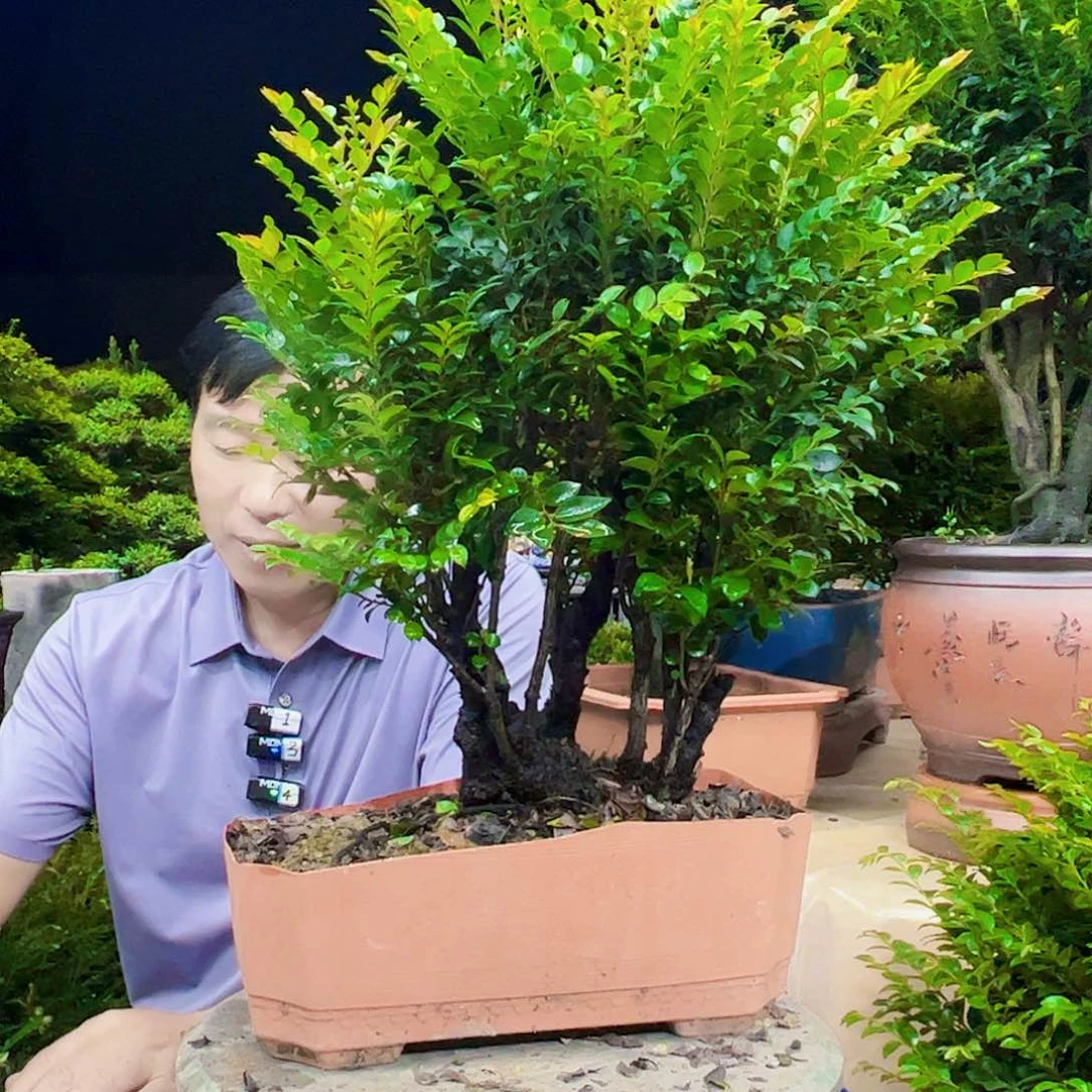 无花朵高****办12345678