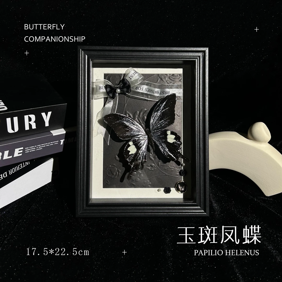 玉斑凤蝶真蝴蝶标本纪念日创意礼物客厅卧室挂件摆件