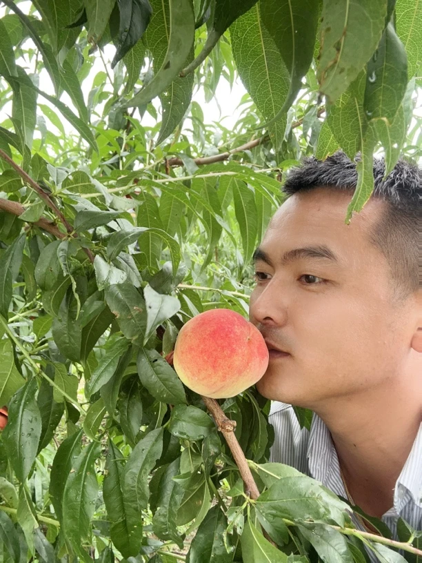 新鲜采摘，当天发货，坏果包赔。