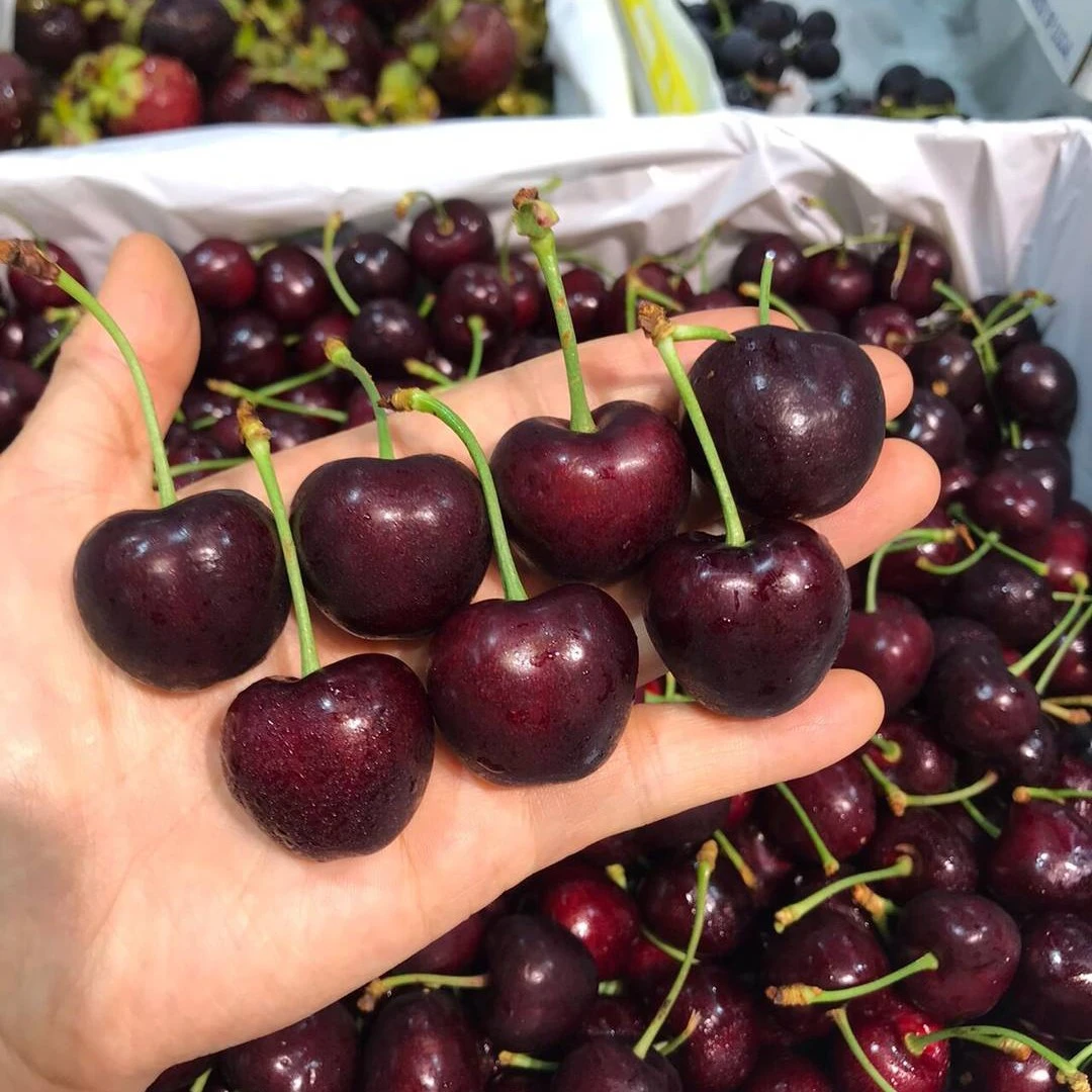 进口车厘子二斤JD（送货上门）瑞吉纳