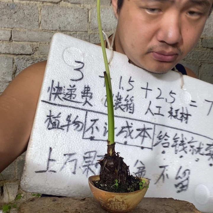 退款拉黑一物一拍175