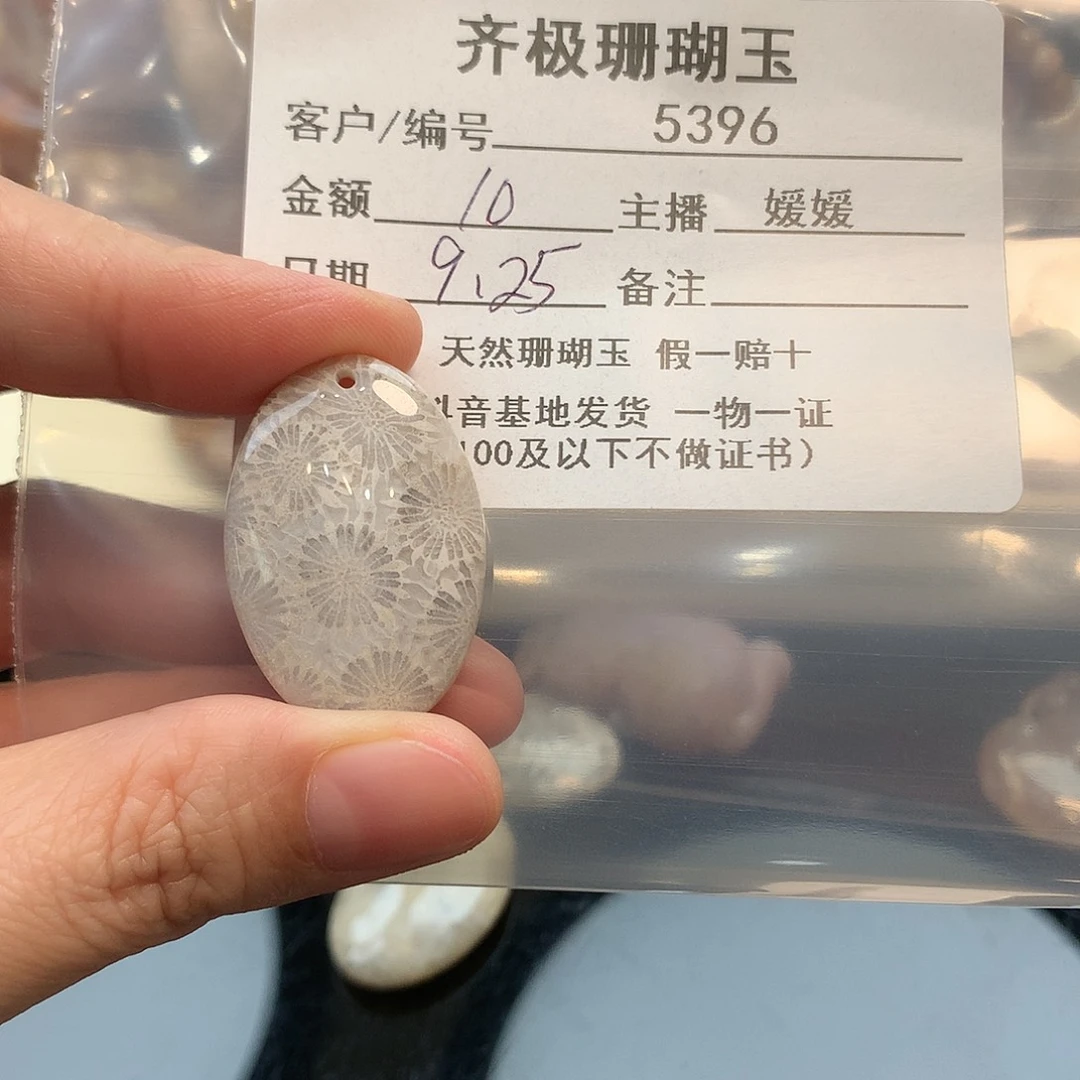 颈饰未镶嵌硅化珊瑚（珊瑚玉）果*