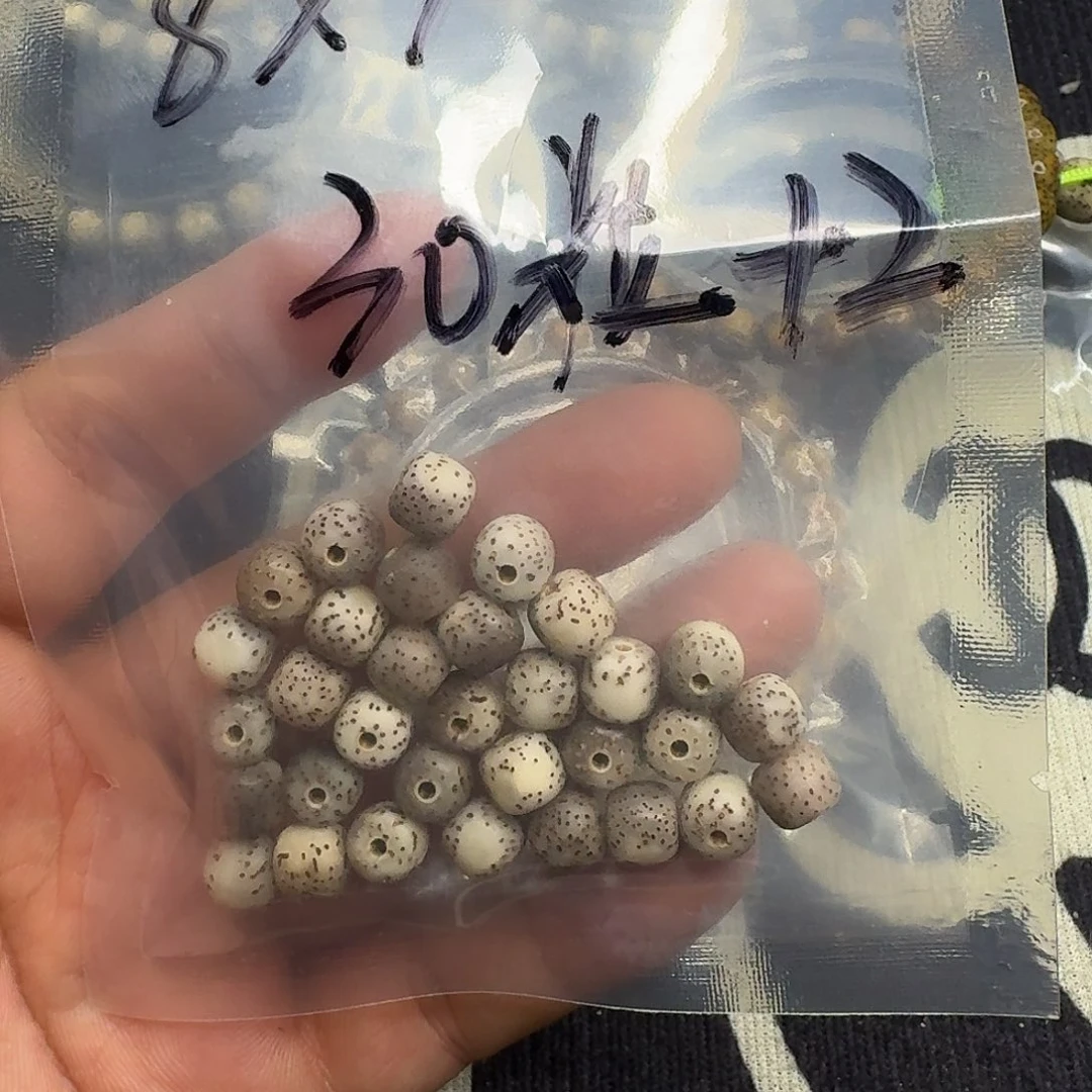 星月菩提手串河豚散籽32