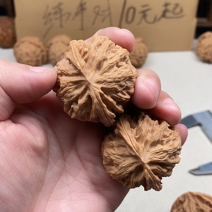 往***风吊坠龙脊菩提24.24.24.24,24