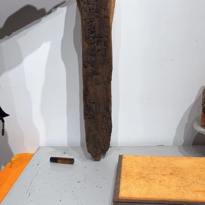 W***W香榧木崖柏等自然景和自然风光