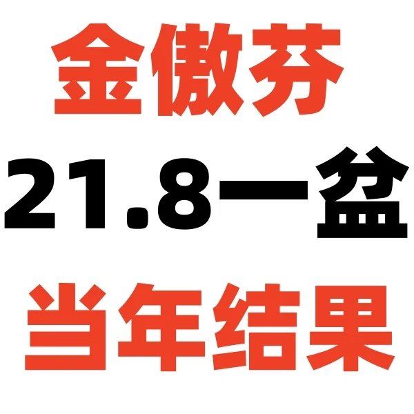 金傲芬  原盆原土发货  当年结果，一个月内死亡包售后