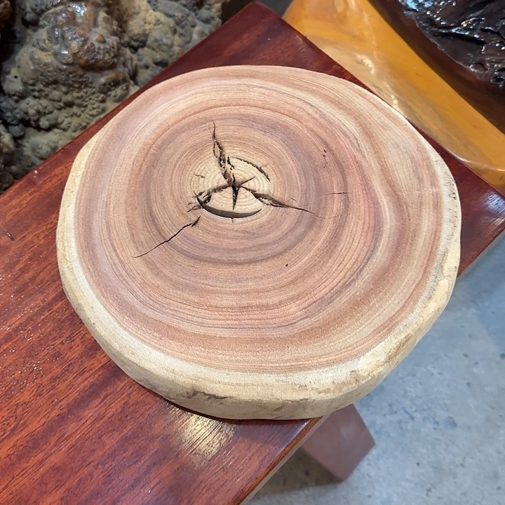 香樟木干泡台26-27-5