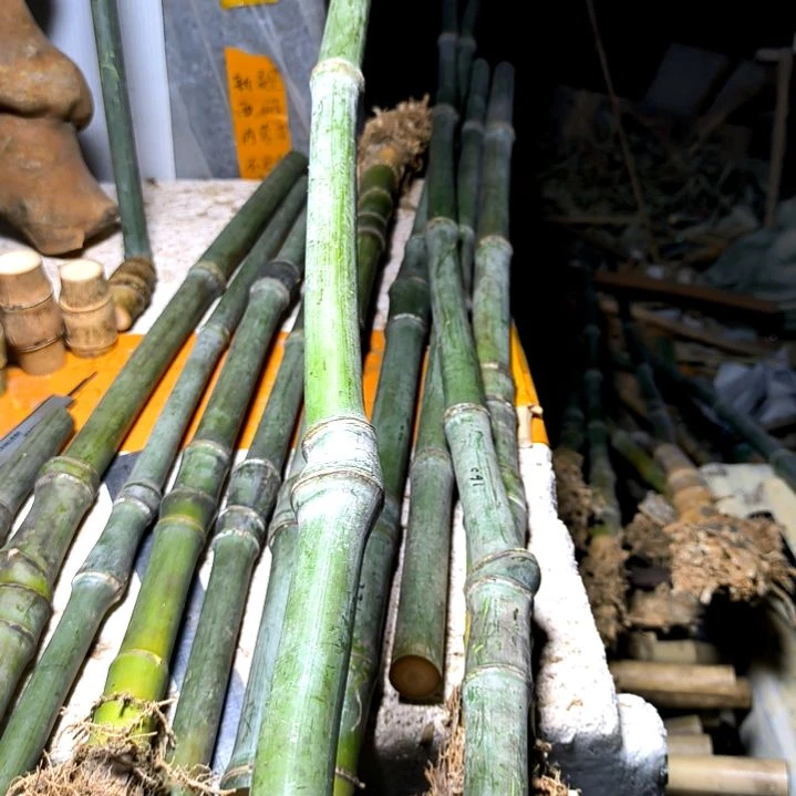 宇*洁实心玉竹毛料手持