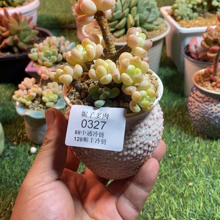 0237啊啊啊啊啊啊啊啊啊啊