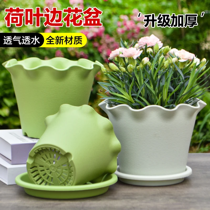 【新款荷花球根盆】加厚树脂荷叶边矮胖球根盆朱顶红郁金香专用花盆