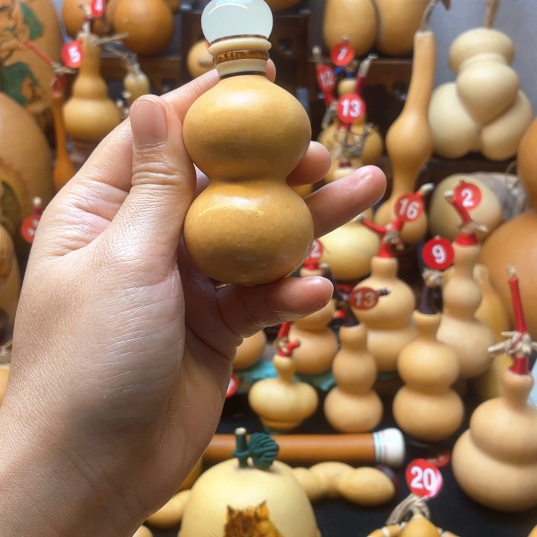 H****?大自然的秘密第十一节你是什么