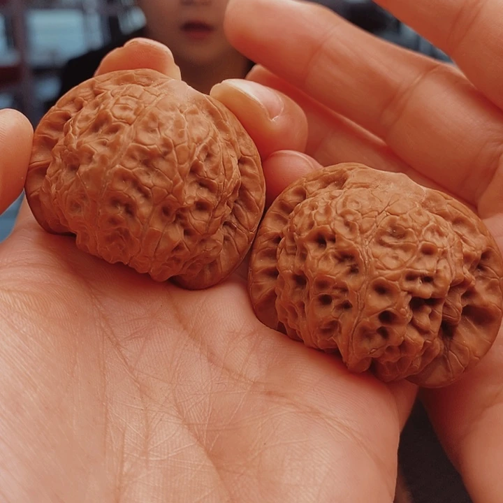 核桃42尺血麒麟核桃