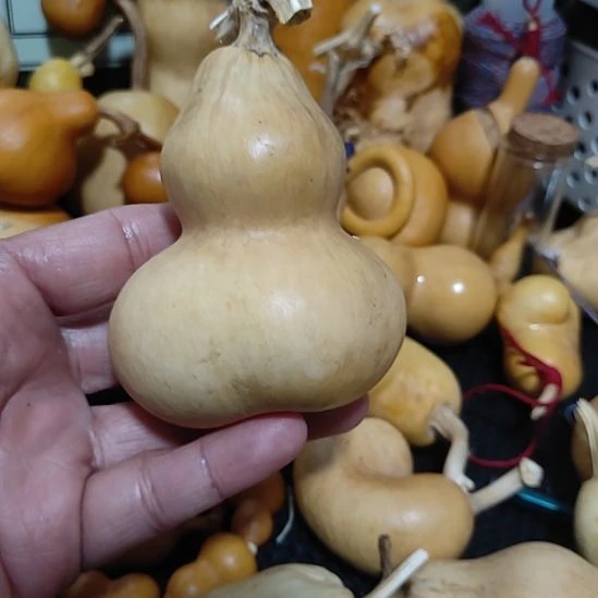 洒***生回来哈哈哈哈哈哈葫芦