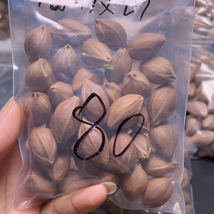 手串/手链橄榄核121