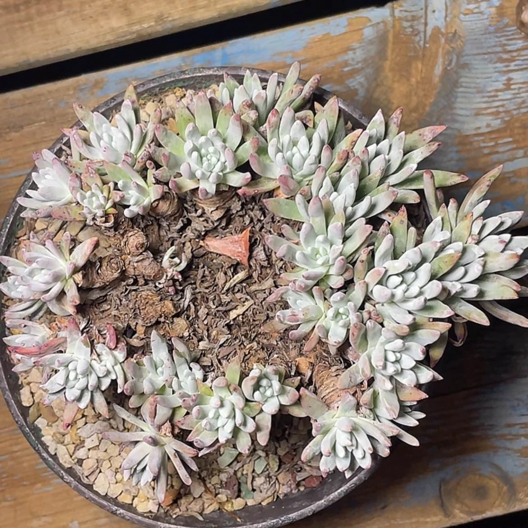 【闪购商品】瑕疵特价不售后