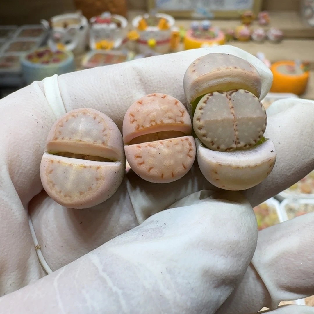 噗*咪0213-64饼干编号24