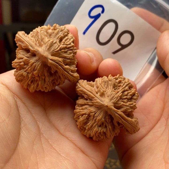 核桃全品四座楼909号