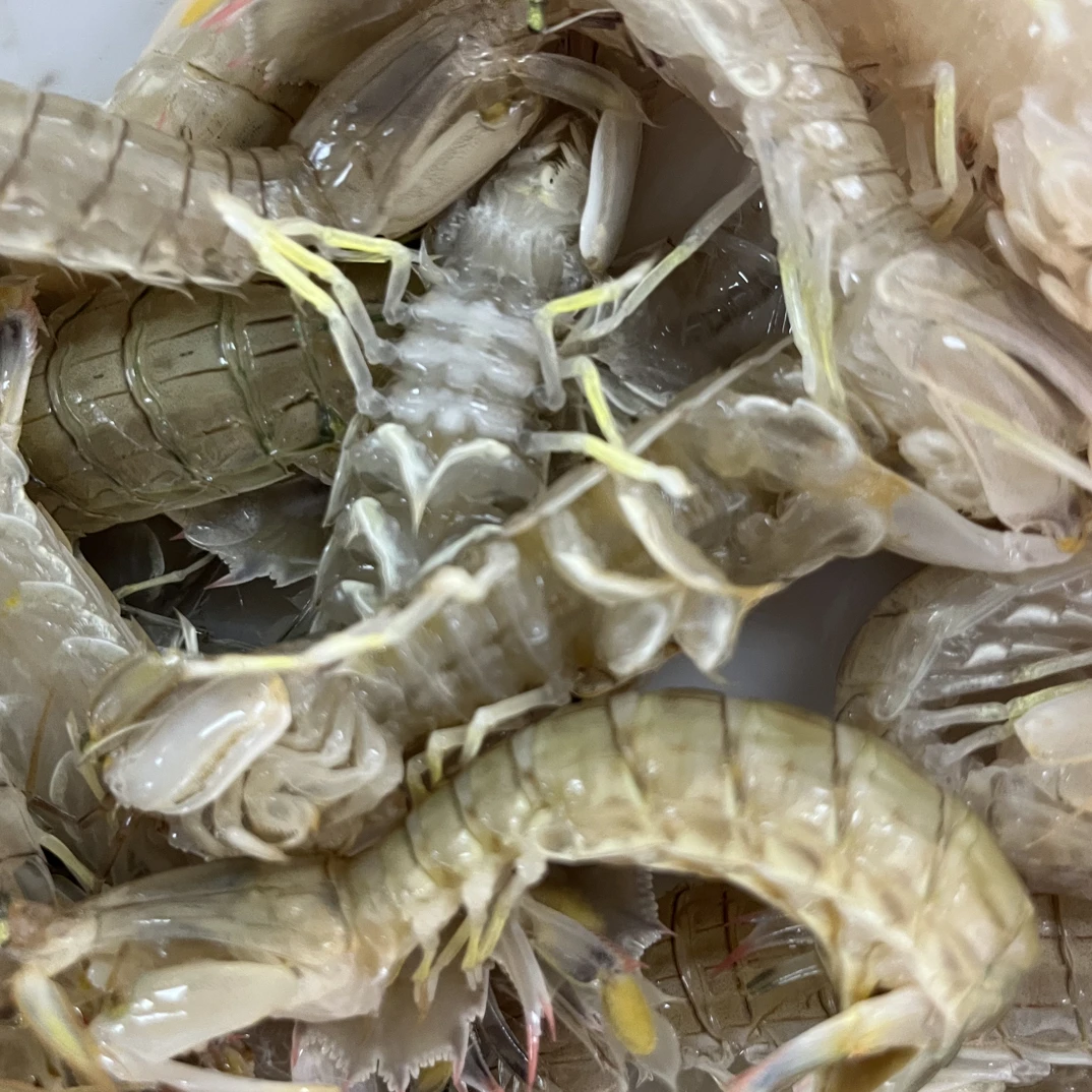 活皮皮虾净含量2斤