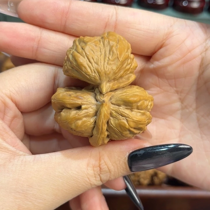核桃异形蛤蟆牛48 1-1