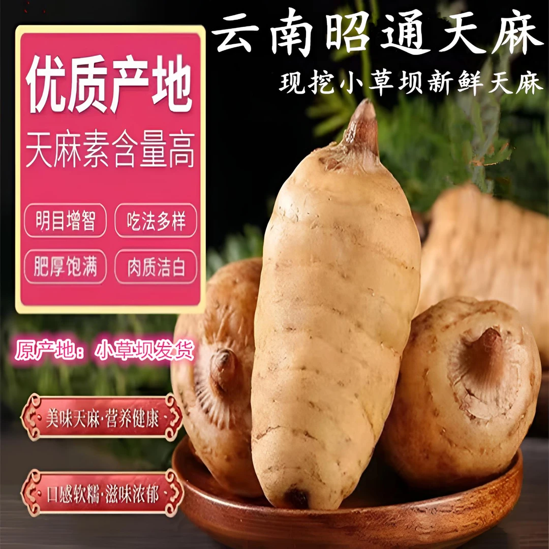 （3斤福利装）云南昭通小草坝新鲜天麻现挖深山林下三年仿野乌天麻