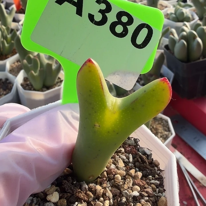 用***9380mmmmmmmmmmmmmmmmm