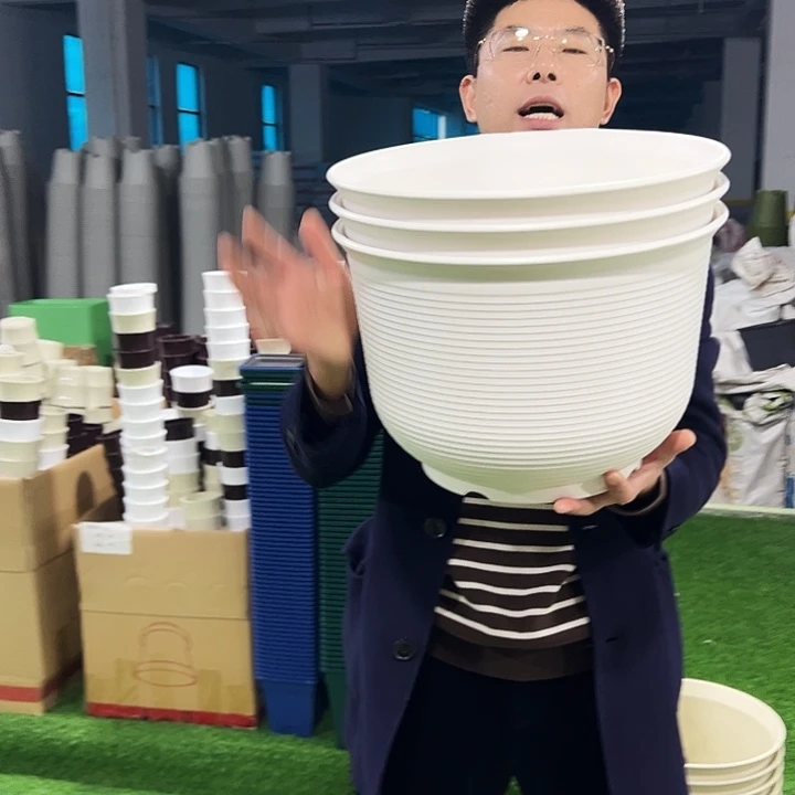 正品矮陶口36高25白色3只无托