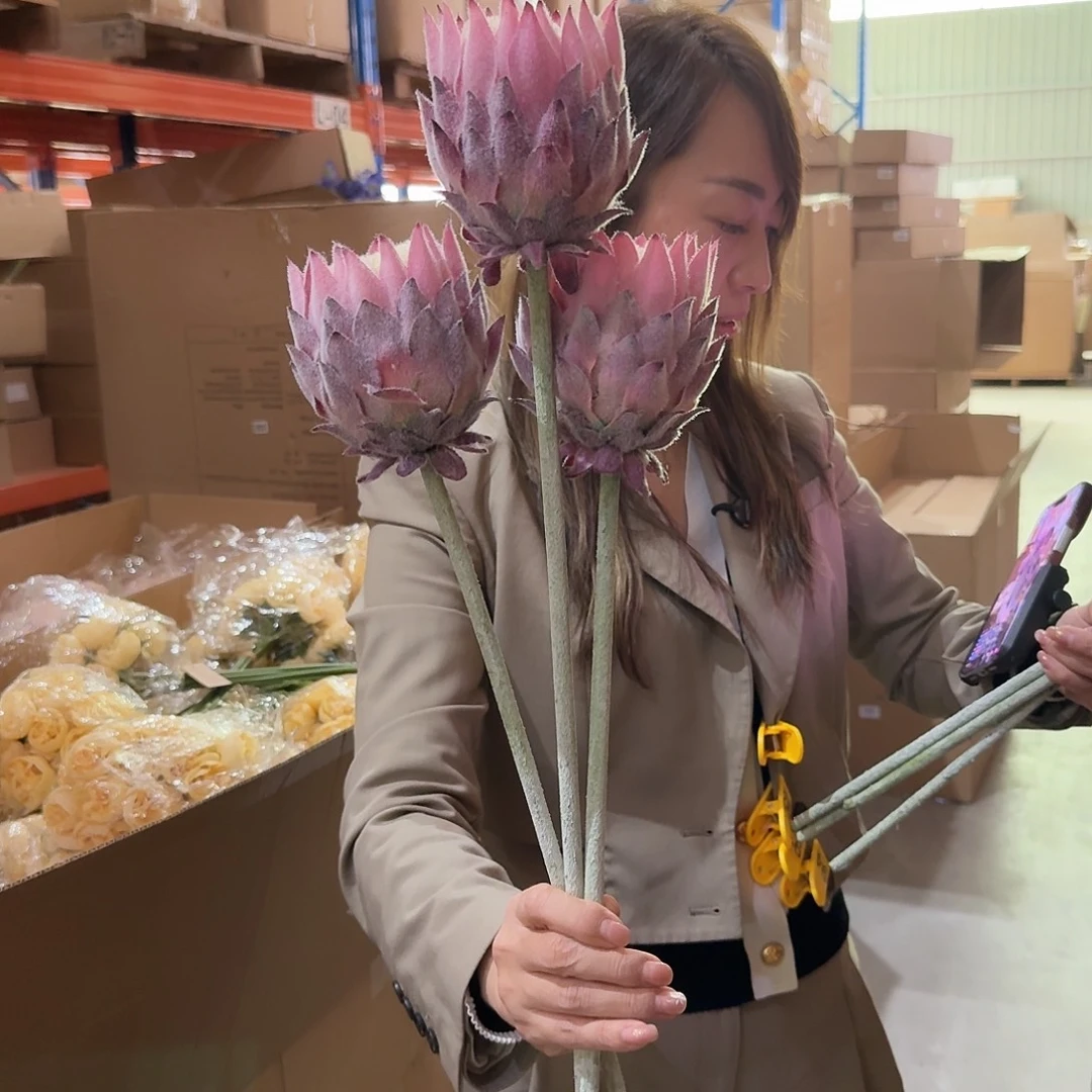 期***待闪购999999999999