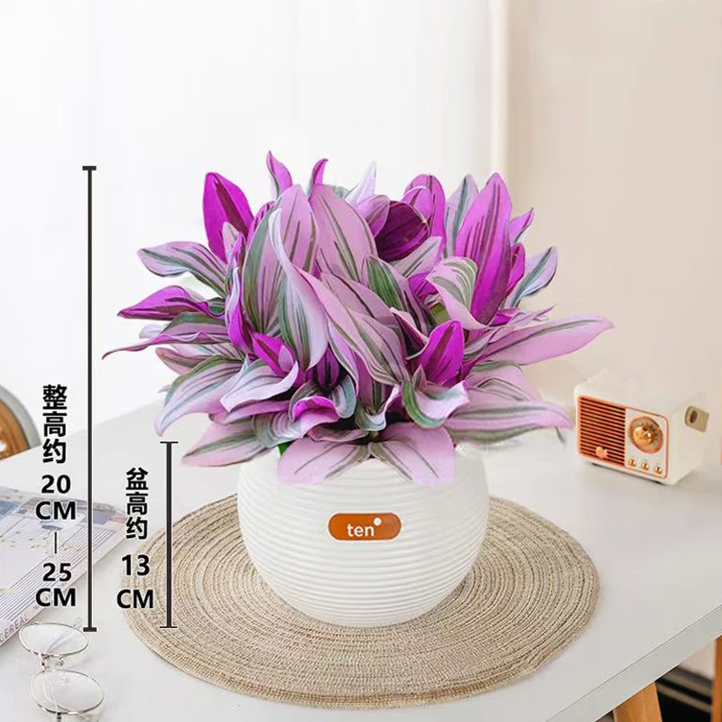 油画婚礼吊兰盆栽多肉紫露兰花室内办公室花卉绿植多肉水培植物