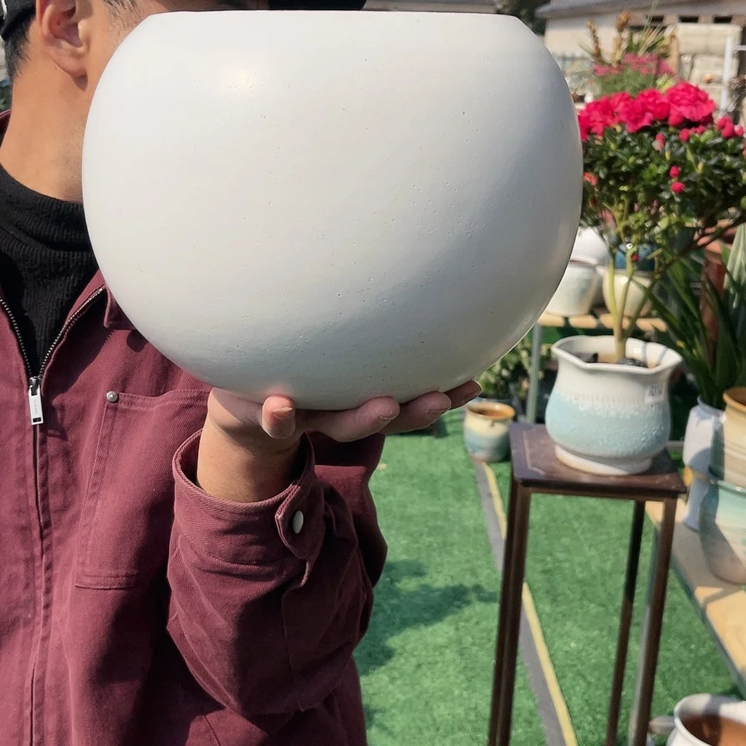 红陶彭于晏0219-1079