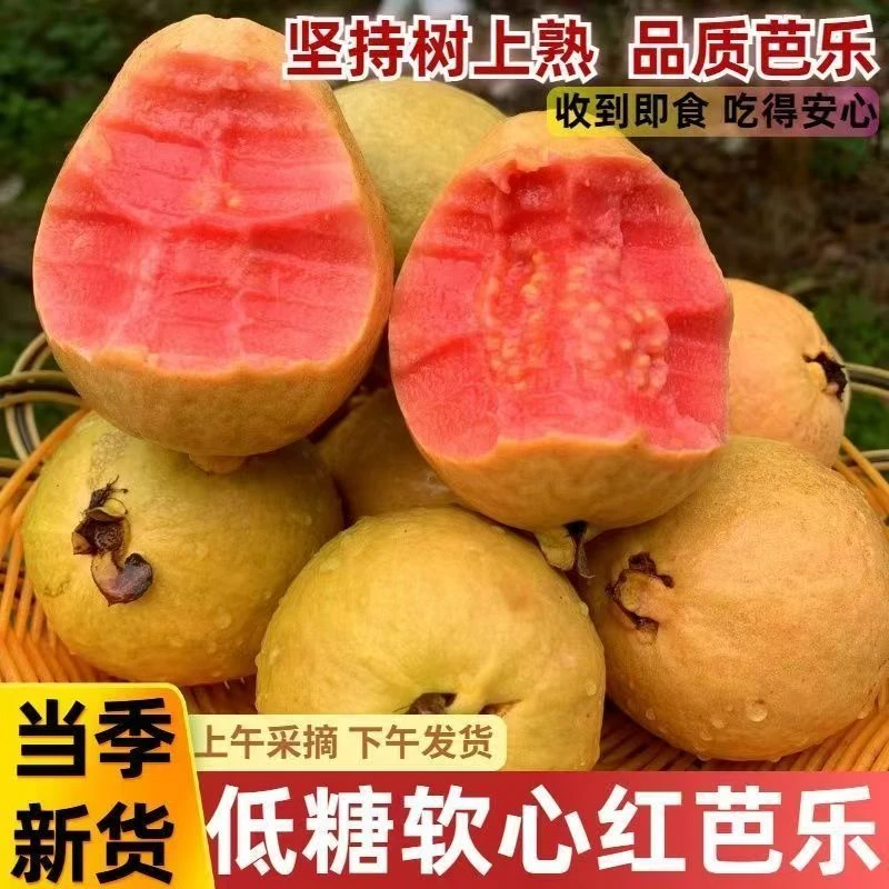 广西红心芭乐白心番石榴产地直发奶油芭乐水果白心芭乐软糯香甜