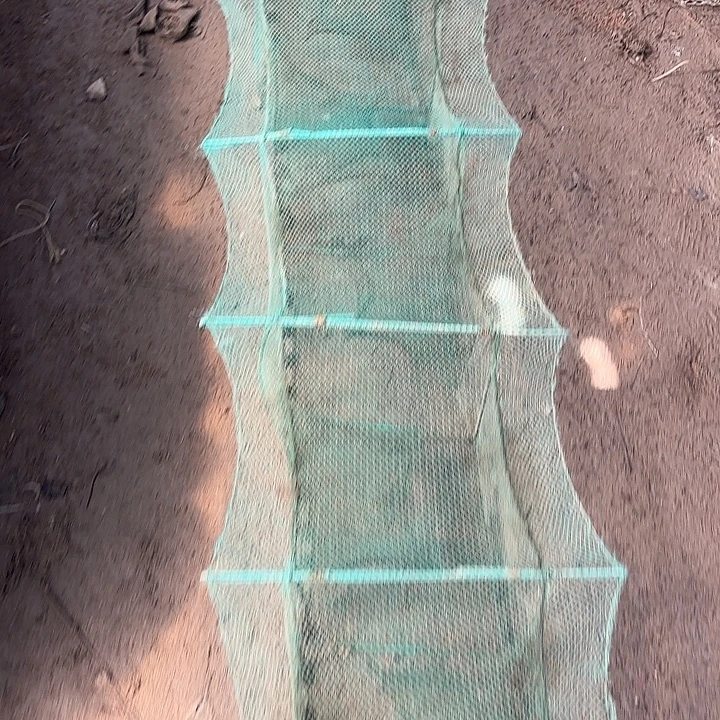 快***天螃蟹虾鱼1565545555