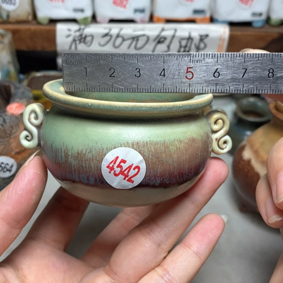 拍5送一个小礼物