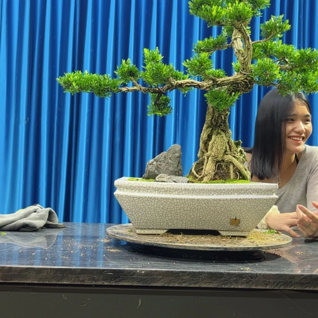 【闪购商品】当前无花朵，栽培后可花朵