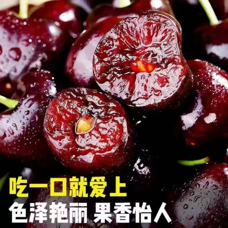 【三斤情侣果】礼盒包装烟台美早大樱桃京东冷链