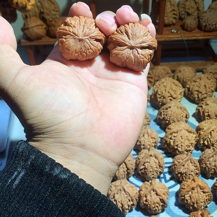 路***韬文玩核桃把件蛇头