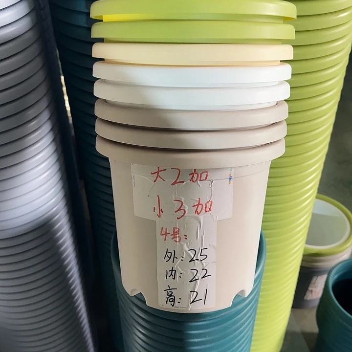 四季4#口径25果绿10个无托