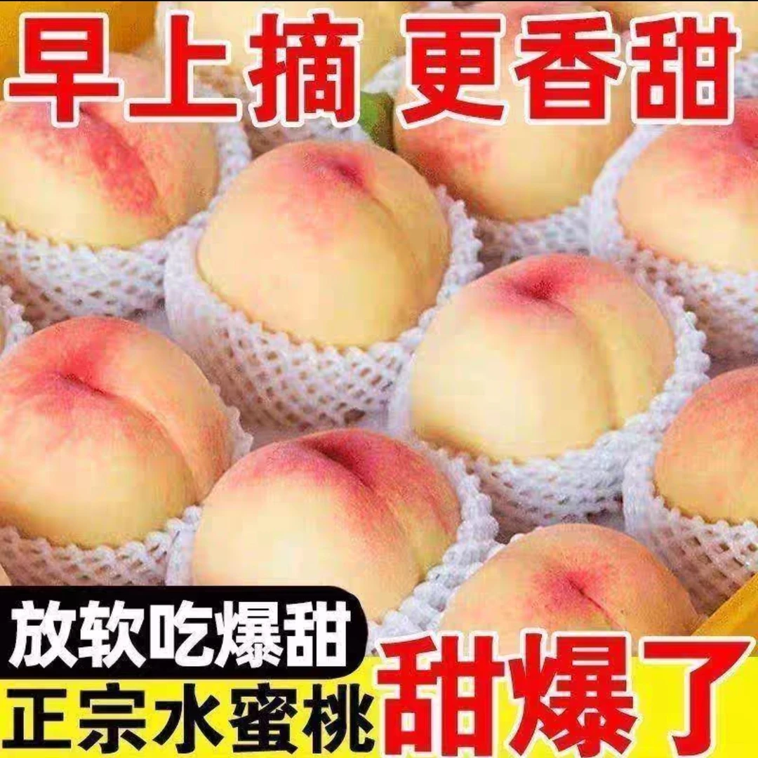 踢球山水蜜桃（5-6两超大果）礼盒装 爆汁薄皮产地直发当季助农