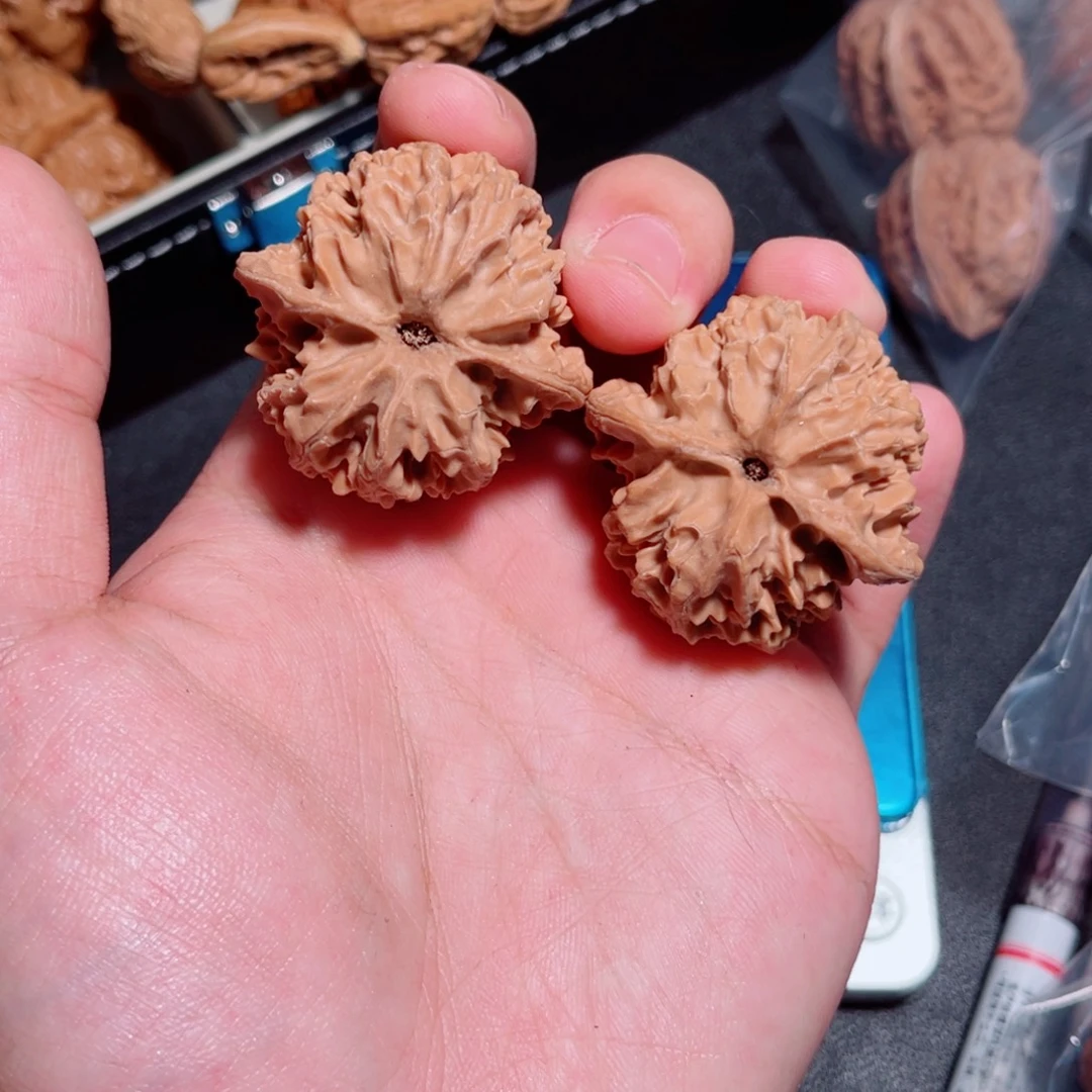 立***你39全品原桩不打药苹果