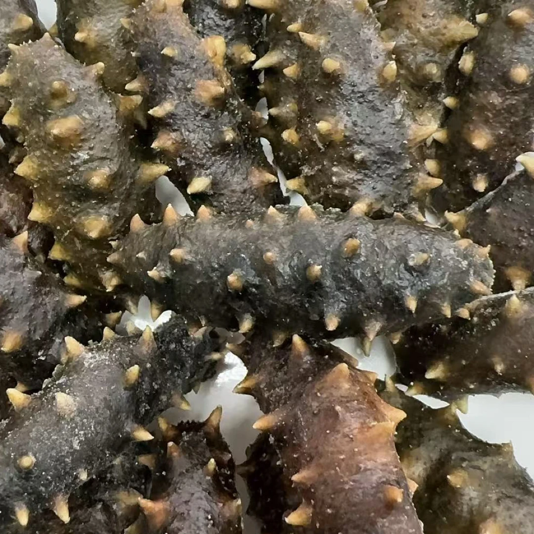 长海县30米深海冻煮海参