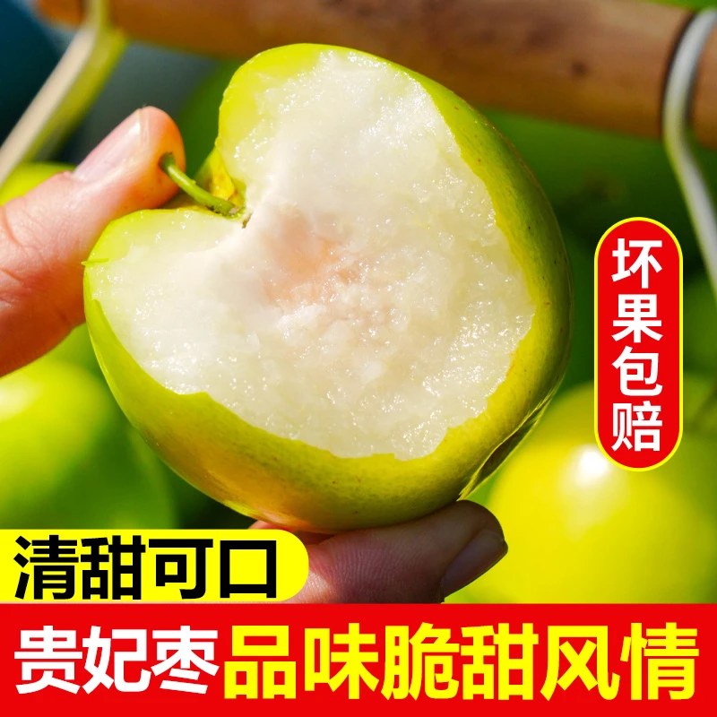 【牛奶青枣】福建青枣新鲜应季牛奶枣脆甜多汁贵妃枣水果3斤/ 4.5斤
