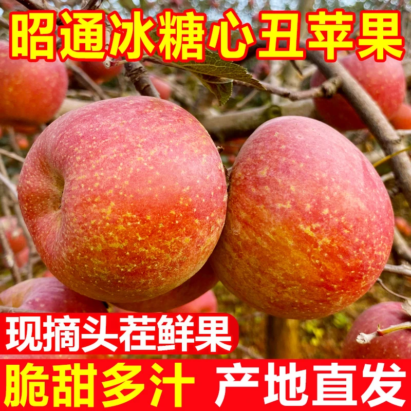 云南昭通丑苹果当季水果冰糖心苹果新鲜整箱脆甜2/5斤红富士现货