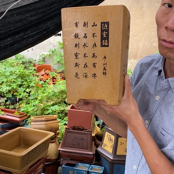 紫砂花盆没有什么不可以的事情没有